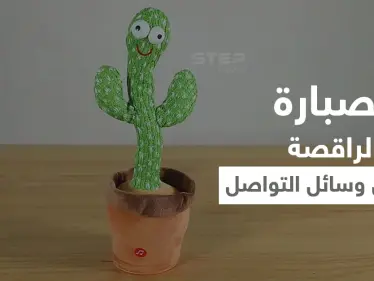 بالفيديو|| ثورة في عالم الألعاب.. الصبارة الراقصة تشعل وسائل التواصل في مصر وتحذيرات من مرض تسببه للأطفال - وكالة ستيب نيوز