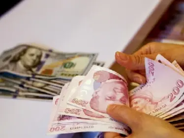 الليرة التركية تسجل مستوى تاريخياً منخفضاً أمام الدولار الأمريكي - وكالة ستيب نيوز