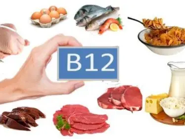 6 مصادر طبيعية لــ فيتامين بي ١٢.. إليك بها إذا كنت تعاني من نقصها - وكالة ستيب نيوز