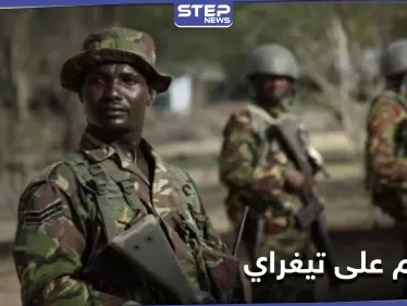 معركة الحسم بدأت.. الجيش الإثيوبي يتوعد بالسيطرة على عاصمة إقليم تيغراي - وكالة ستيب نيوز