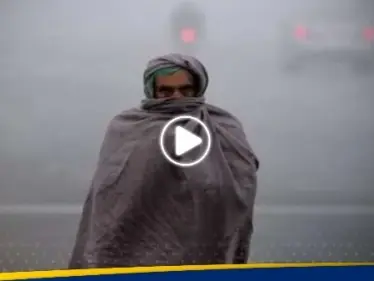 مصرع وإصابة العشرات جراء أمطار غزيرة اجتاحت باكستان - وكالة ستيب نيوز