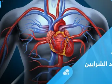 علاج انسداد الشرايين والأوعية الدموية بوسائل طبيعية - وكالة ستيب نيوز