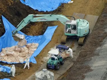 انتشار فيروس إنفلونزا الطيور في الجزائر واليابان والأخيرة تعدم 250 ألف طير - وكالة ستيب نيوز