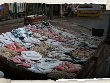 تحذير عاجل في مصر من "مادة زرقاء مضيئة" في سمك يباع في البلاد - وكالة ستيب نيوز