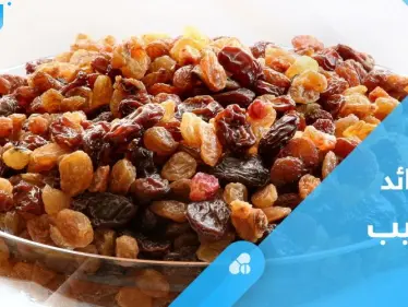 غني بالعناصر الغذائية.. تعرف على فوائد الزبيب الصحية - وكالة ستيب نيوز
