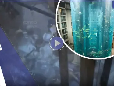 شاهد|| انفجار حوض سمك ضخم بارتفاع 16 متراً في ألمانيا.. مليون لتر ماء سكب بالشارع - وكالة ستيب نيوز