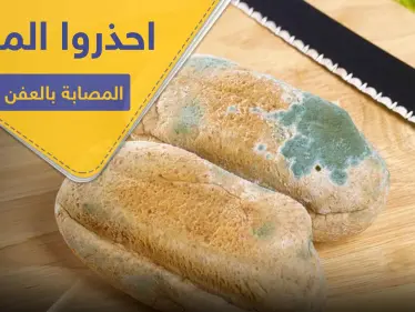 احذروا تناول المواد الغذائية المصابة بالعفن.. خبيرة تعذية تكشف الأسباب - وكالة ستيب نيوز