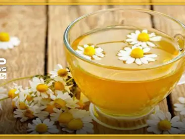 عشبة هامّة ومفيدة للتخلص من القلق والتوتر خلال حجركم المنزلي الإجباري - وكالة ستيب نيوز