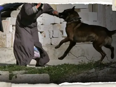 صحيفة عبرية تكشف: قوة إسرائيلية تُجبر 5 فلسطينيات على التعري تحت التهديد - وكالة ستيب نيوز