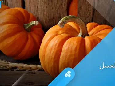 فوائد قرع العسل السحرية وقيمته الغذائية العالية إليك أهم المعلومات - وكالة ستيب نيوز