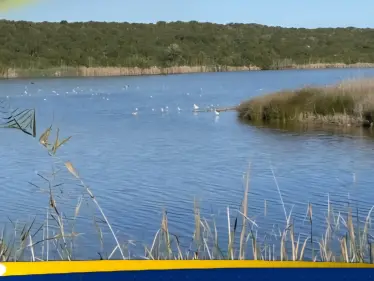 تحذير من كارثة وشيكة تهدد الأرض - وكالة ستيب نيوز