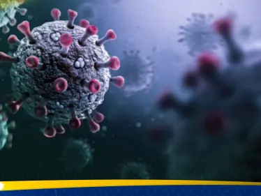 فيروس جديد في المأكولات البحرية يثير القلق.. “POH-VAU” قد يهدد البصر وينتقل إلى الإنسان - وكالة ستيب نيوز