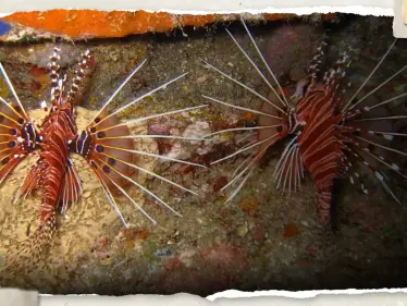 البشرية تواجه "آفة جديدة" يصعب السيطرة عليها وعلماء يتحدثون عن دخول الأرض بعصر "الأنثروبوسين" - وكالة ستيب نيوز