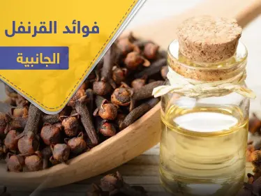 فوائد القرنفل وآثاره الجانبية على الأم المرضع والأطفال - وكالة ستيب نيوز