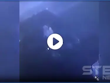 بالفيديو|| لصوص في الأردن يتبعون طريقة "شيطانية" للسرقة بفترة حظر التجوال - وكالة ستيب نيوز