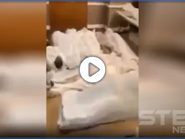 بالفيديو|| جثث متكدّسة ومتروكة.. عشرات الموتى من المسلمين جرّاء كورونا ينتظرون دفنهم بنيويورك - وكالة ستيب نيوز