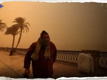 بعد إعصار دانيال.. رائحة 