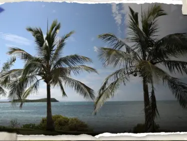 زلزال جديد بقوة 7.1 درجة يضرب شرق كاليدونيا الجديدة - وكالة ستيب نيوز