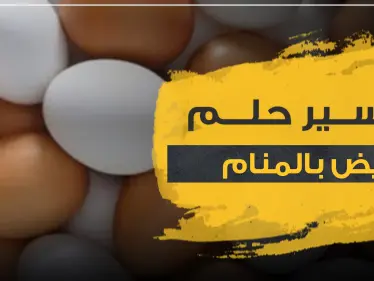 تفسير رؤيا البيض بالمنام.. دلالاته وجميع أوجهه - وكالة ستيب نيوز