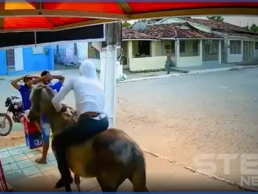 بالفيديو|| حصان يشارك بعملية سرقة 