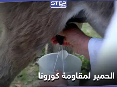 طريقة جديدة لمقاومة كورونا في ألبانيا .. باستخدام حليب الحمير - وكالة ستيب نيوز