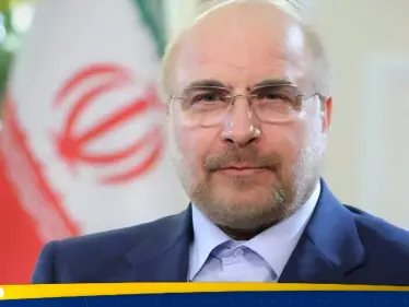 رئيس البرلمان الإيراني يوجه اتهاما خطيرا للوكالة الدولية للطاقة الذرية - وكالة ستيب نيوز