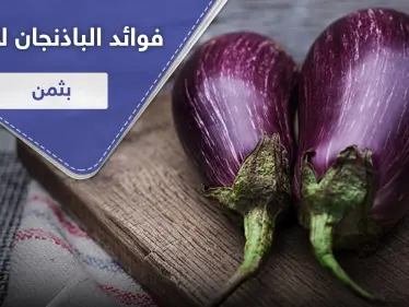 فوائد الباذنجان لا تقدر بثمن.. شريطة أن يتم تحضيره بطريقة صحيحة - وكالة ستيب نيوز