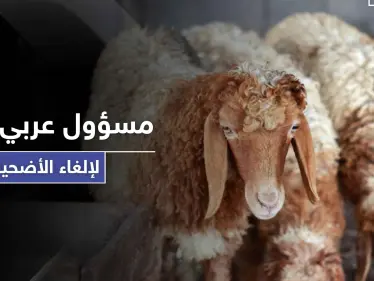 مسؤول عربي يطالب بإلغاء الأضحية هذا العام ويوضح الأسباب - وكالة ستيب نيوز