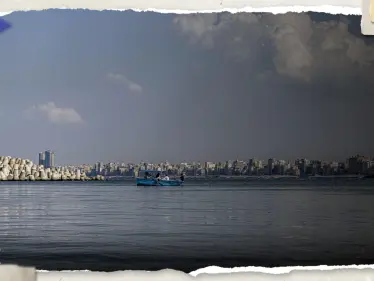 ظاهرة "غريبة" في مصر.. نفوق أسماك على شاطىء الإسكندرية "خوفاً من الصيادين" - وكالة ستيب نيوز