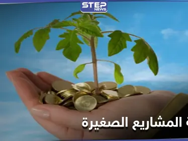 دولة عربية مرشحة للتقدم عالمياً في توطين شركات التكنولوجيا الناشئة - وكالة ستيب نيوز
