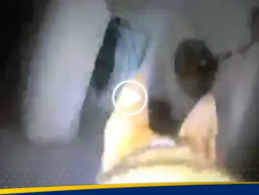 شاهد|| كاميرا مثبتة على كلب إسرائيلي داخل أنفاق حماس ترصد ما يوجد داخلها - وكالة ستيب نيوز