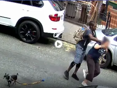 بالفيديو|| لص يهاجم فتاة وينزع عقدها بالقوة في وضح النهار والسلطات تطالب بمعلومات عنه - وكالة ستيب نيوز