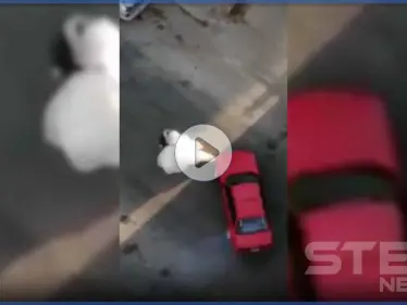 بالفيديو || عروسان في لبنان يحتفلان بزواجهما بطريقة فريدة من نوعها - وكالة ستيب نيوز