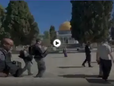 بعد دعوات لجمعة غضب.. جولات استفزازية ينفذها مستوطنون في باحات المسجد الأقصى (فيديو) - وكالة ستيب نيوز