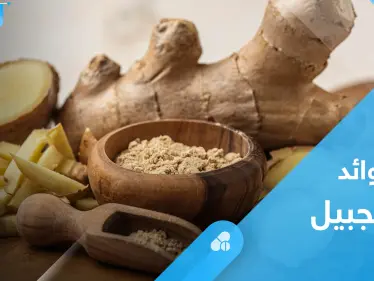 الزنجبيل.. تعرف على فوائده الكثيرة وأهمها تنظيم عمل الجهاز الهضمي - وكالة ستيب نيوز