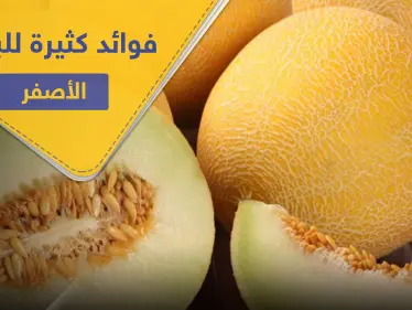 البطيخ الأصفر " الشمام" لصحة النظر والعظام وفوائد كثيرة لا تُحصى - وكالة ستيب نيوز