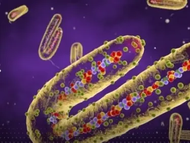 سلطنة عُمان تدعو مواطنيها لعدم السفر لدولتين بسبب فيروس ماربورغ - وكالة ستيب نيوز