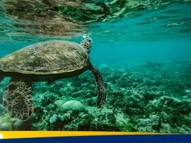 المحيطات تكشف أسرارها.. دراسة علمية تفجر مفاجأة حول تغيير كبير أصاب المسطحات المائية - وكالة ستيب نيوز