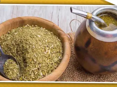 علماء أمريكيون يكتشفون فوائد "المتة" التي تمنع زيادة الوزن - وكالة ستيب نيوز