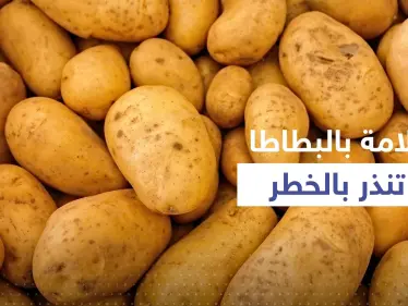 بالفيديو|| علامة في البطاطس تنذر بالخطر.. احذر تناولها قد تسبب التسمم - وكالة ستيب نيوز