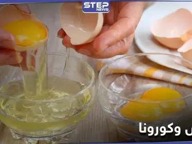 مفاجأة للحماية من كورونا.. عليك باستخدام صفار البيض بهذه الطريقة - وكالة ستيب نيوز