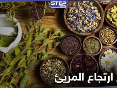 أفضل طرق علاج ارتجاع المريئ وحرقة المعدة بالأعشاب والزيوت الطبيعية - وكالة ستيب نيوز