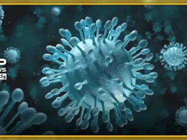 معلومة طبّية هامّة.. كيف تقوّي جهاز مناعتك لمواجهة الفيروسات والأمراض.. - وكالة ستيب نيوز