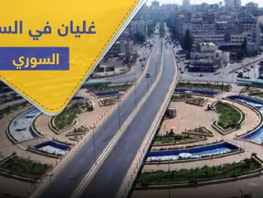 جماعات رامي مخلوف تتأهب.. روسيا تزود قرى علوية بالساحل بأسلحة وذخائر نوعية خطيرة - وكالة ستيب نيوز