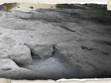 بفضل الجفاف.. اكتشاف أطول مسار للديناصورات في العالم - وكالة ستيب نيوز