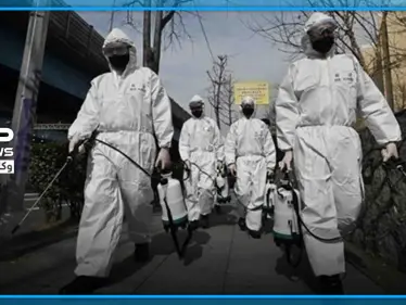 هل سيساهم الصيف والطقس الدافئ بالتصدي لكورونا.. دراسات حديثة توضح - وكالة ستيب نيوز