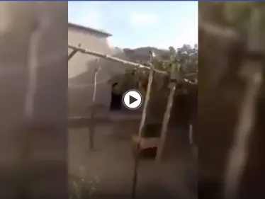 طالبان تعرض أحدث فيديو لمنزل "الزعيم الروحي" للحركة.. شاهد كيف يبدو - وكالة ستيب نيوز