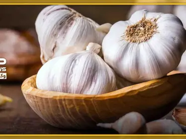 ماذا تعرف عن فوائد "الثوم" على الريق.. وعلاقته بالجهاز المناعي والتنفسي - وكالة ستيب نيوز