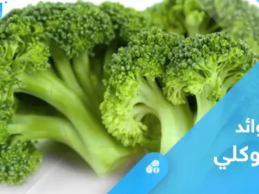 لصحة القلب وعلاج الأمراض المزمنة.. تعرف على فوائد البروكلي - وكالة ستيب نيوز