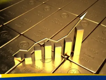 سعر الذهب اليوم في مصر 20 فبراير 2024 - وكالة ستيب نيوز